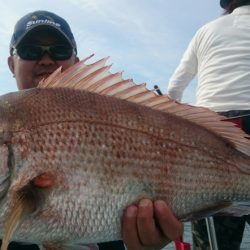 シースナイパー海龍 釣果