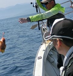 第二清洋丸 釣果