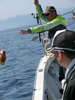 第二清洋丸 釣果