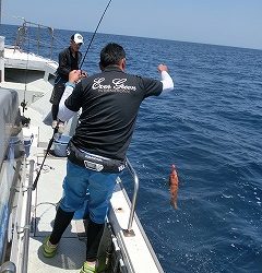 第二清洋丸 釣果