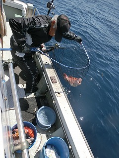 第二清洋丸 釣果