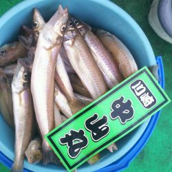 中山丸 釣果
