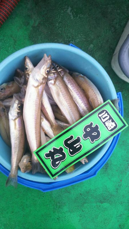 中山丸 釣果