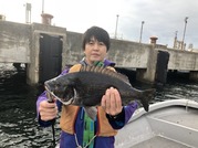 ＮＡＧＡＳＨＩＭA ＭＡＲＵ（永島丸） 釣果