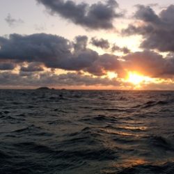 オーシャンパイオニア 釣果