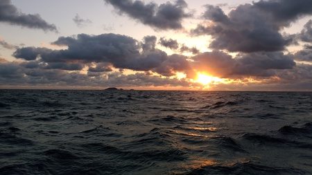 オーシャンパイオニア 釣果