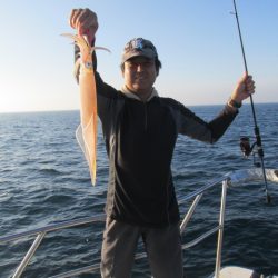 ジギング船 BLUEWATER 釣果