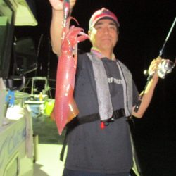 ジギング船 BLUEWATER 釣果