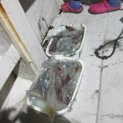 ジギング船 BLUEWATER 釣果