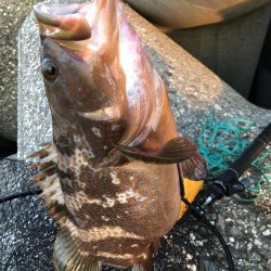 モンスター！！