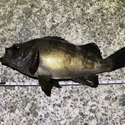 サイズのわりに引いた