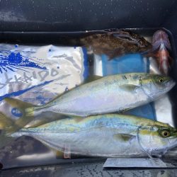 初心者ショアジギでサゴシ2本！