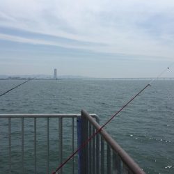 猛暑の中(^^;;  飲ませ釣り‼️