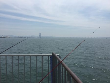 猛暑の中(^^;;  飲ませ釣り‼️