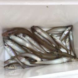 濁りまみれの中キス