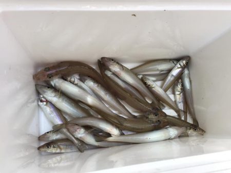 濁りまみれの中キス