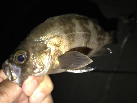 ヤオッチごめんね!