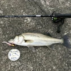 暑い❗とにかく暑い❗