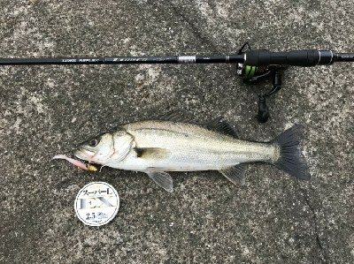 暑い❗とにかく暑い'…