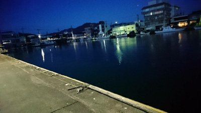 大漁の鯵かと思ったら