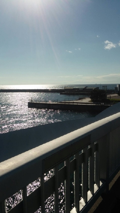 暑いよー、ショアジギングだよー