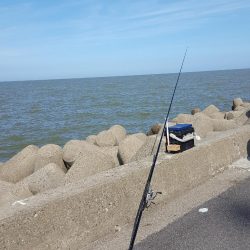 日本鋼管キス釣り