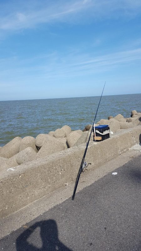 日本鋼管キス釣り
