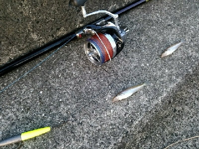 久々のキス釣り