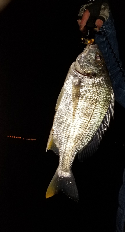 バラしまくり無能