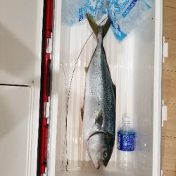 ふらっとショアジギング