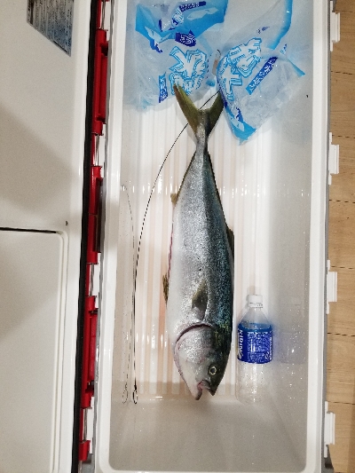 ふらっとショアジギング