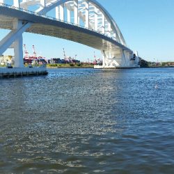 舞洲アジングNo2