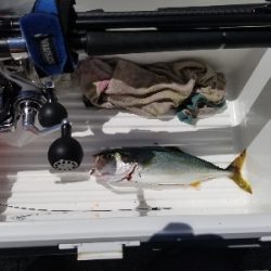 逃がした魚はなんとやら