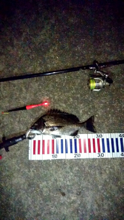 暑い夏夜釣りをされてはいかがですか？