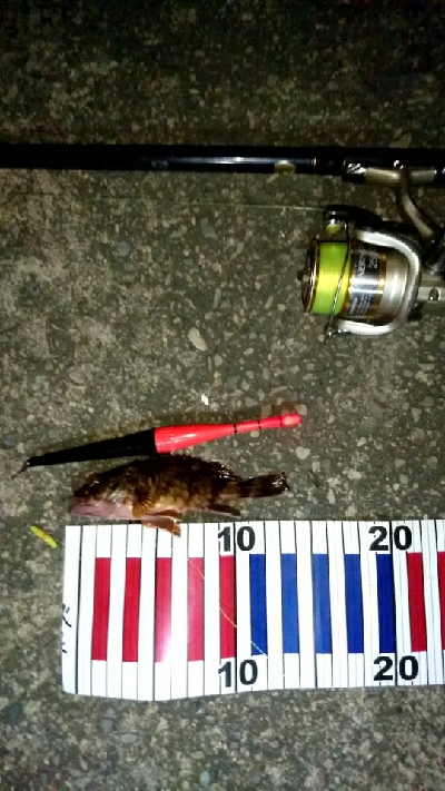 台風の後は釣れるのか？