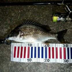 台風前に釣りはどうですか?