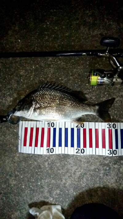 台風前に釣りはどうですか？