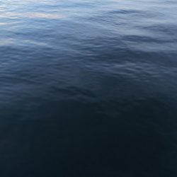 そろそろ楽しめるかな