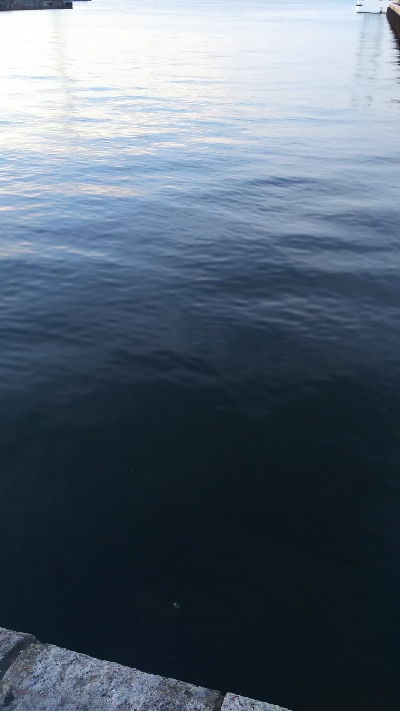 そろそろ楽しめるかな