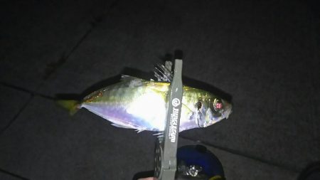 フロートアジング2