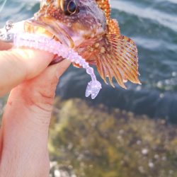 沖堤防でストレス発散ww