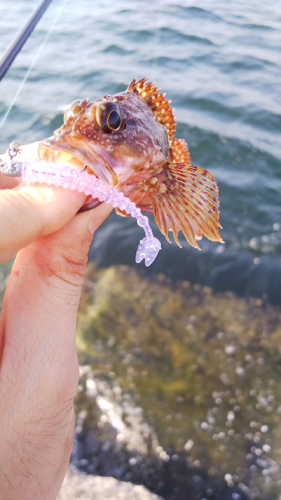 沖堤防でストレス発散ww