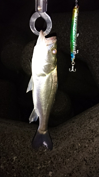 花見川チーバス