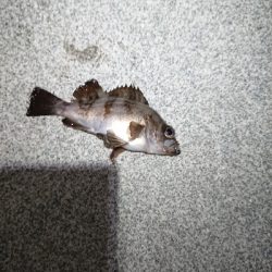 まだ、終わらない。