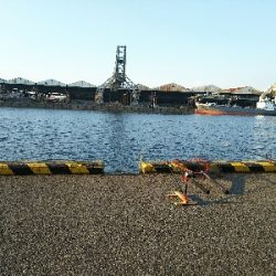 今日はこどもの日?