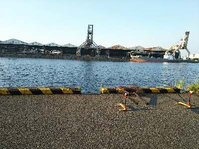 今日はこどもの日？