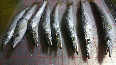 夕方にかるーく