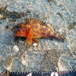 色を変えながら