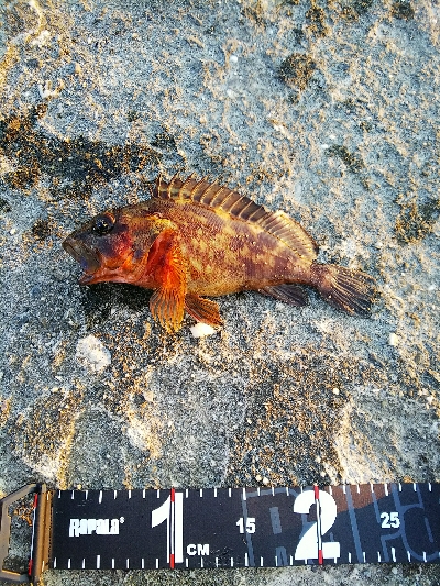 色を変えながら