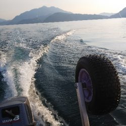 myボートでイカメタル